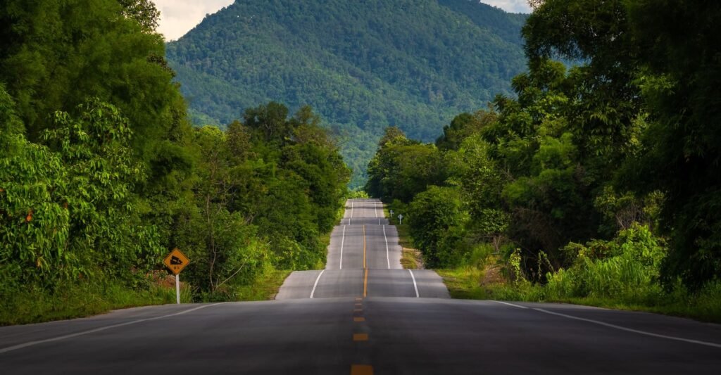 Motivação versus Compromisso o que realmente sustenta a evolução ao longo do tempo